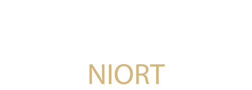 Logo Giovanni Riboli Niort